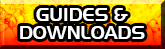 Guides & Downloads
